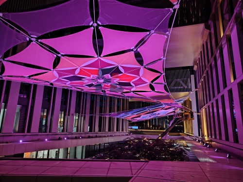 歲末收官，以膜為花 | 我們用 86 片膜材，在城市上空 “種” 出了兩朵會(huì)發(fā)光的索膜之花